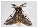 blog entry